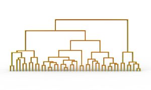 クラスター分析の具体的なやり方と分析実行のための手法・言語(SPSS、Pythonなど)を紹介